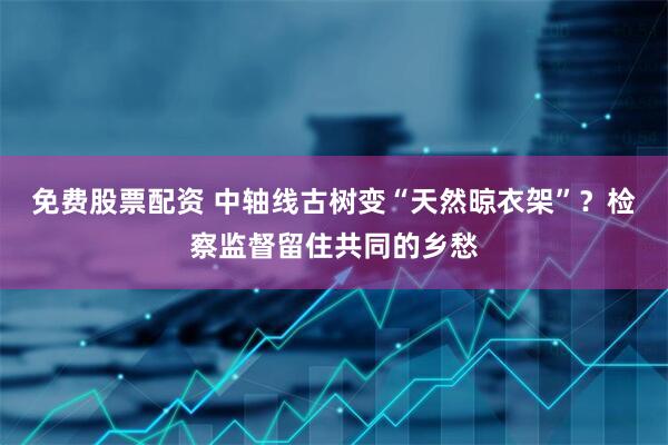 免费股票配资 中轴线古树变“天然晾衣架”？检察监督留住共同的乡愁